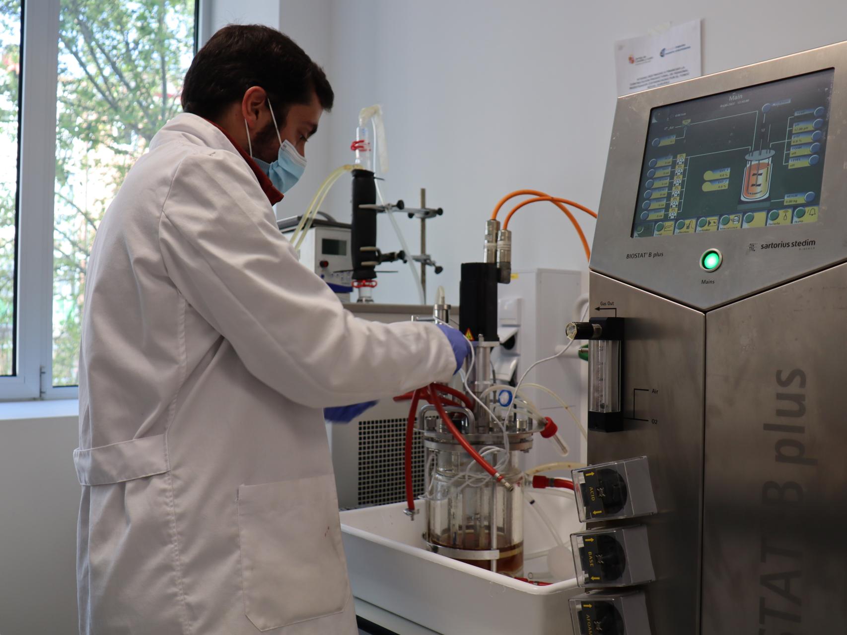 Momento del proceso realizado en la Uva