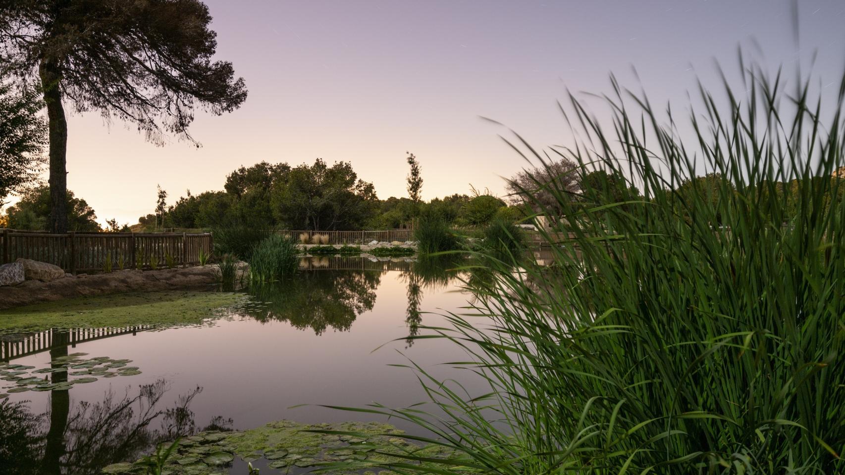 El parque El Recorral de Rojales en Alicante, ejemplo de infraestructura verde urbana.