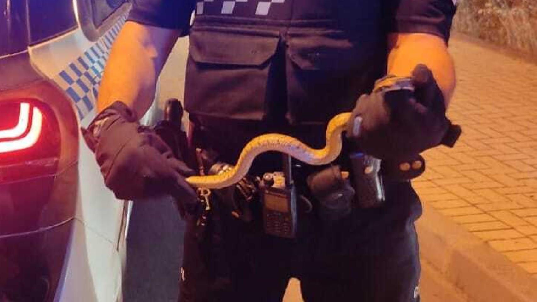 Foto: Policía Local de Puertollano.