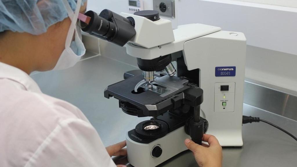 Una investigadora, en un laboratorio.