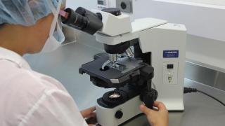 Una investigadora, en un laboratorio vasco.