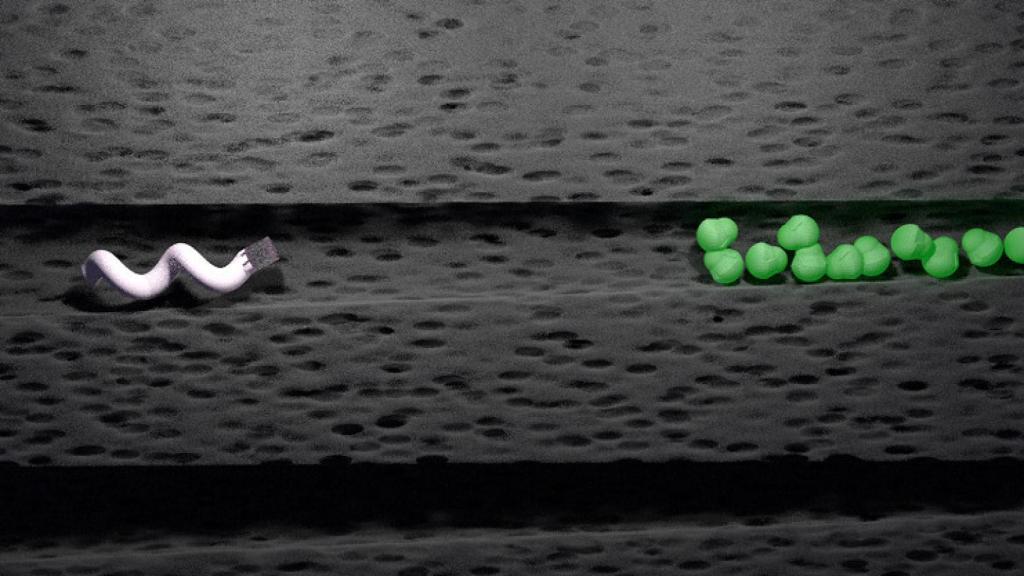 Nanobots dentales contra bacterias