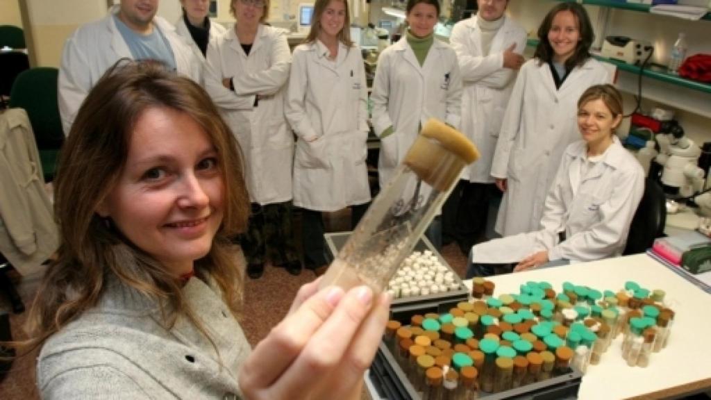 Asociación de Mujeres Investigadoras y Tecnólogas
