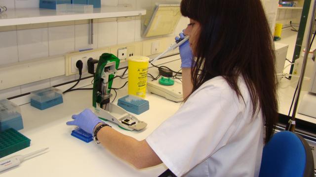 Investigadores Universidad de Valladolid