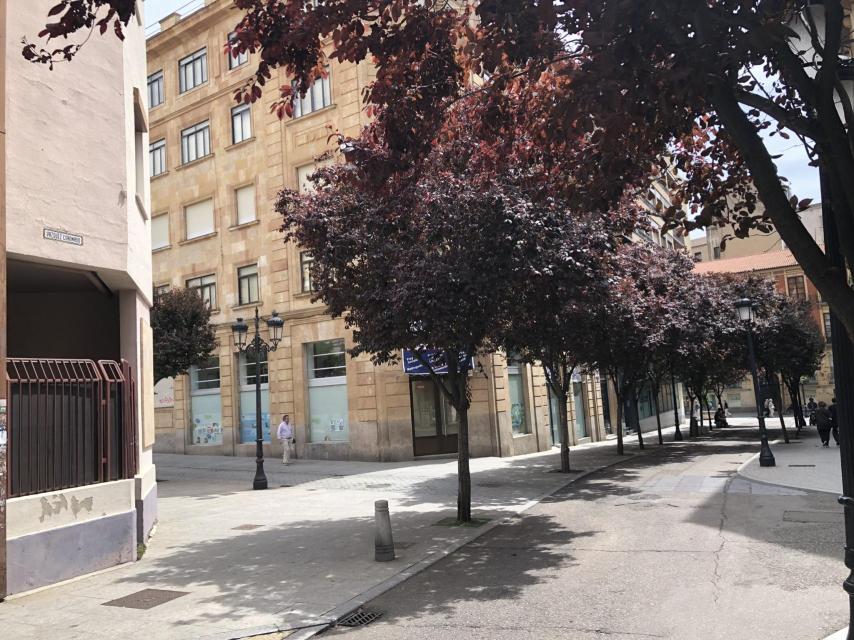 Francisco Vázquez de Coronado no cuenta en Salamanca con ningún monumento ni calle. La céntrica calle Vázquez Coronado y un medallón en la Plaza Mayor son en honor a su sobrino, Juan Vázquez de Coronado.
