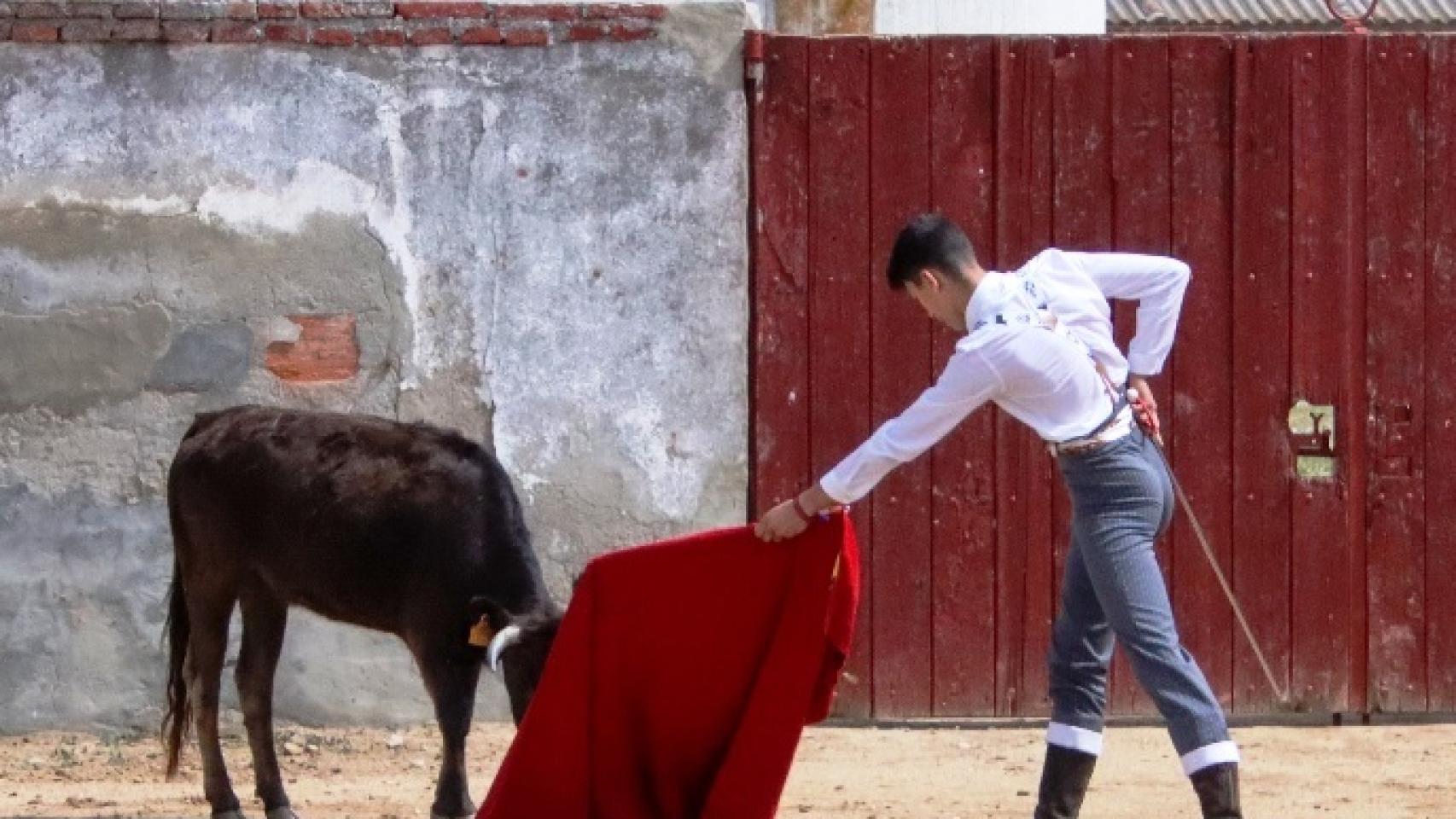 Tentadero en Medina de Rioseco