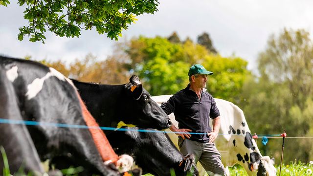 Los ganaderos gallegos tendrán hasta junio para solicitar las ayudas de la PAC