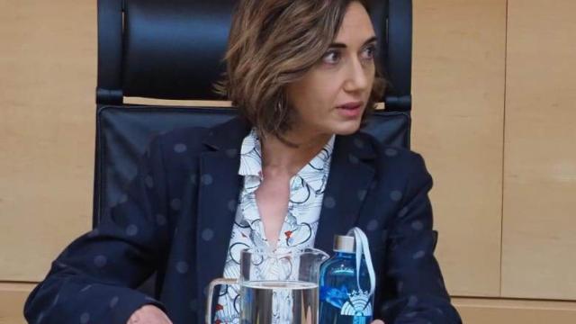 La procuradora leonesista Alicia Gallego