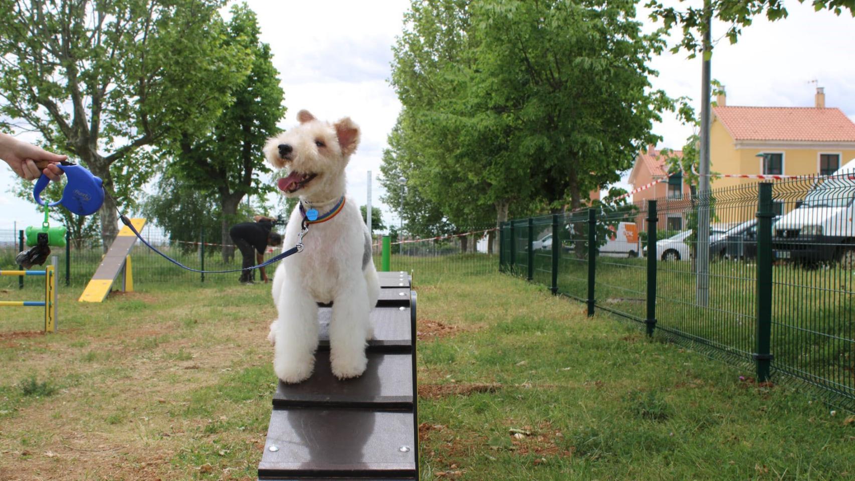 Parque para perros en Zamora