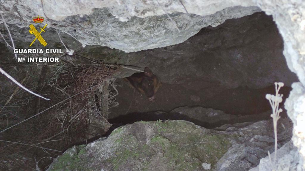 Rescate de Reina en Seseña.