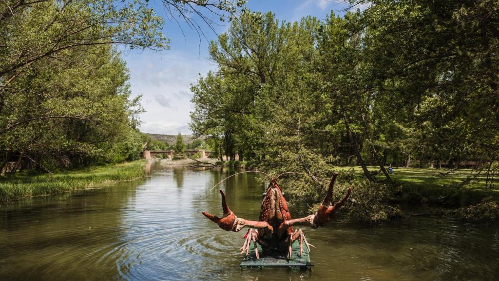 El cangrejo en la mitad del río