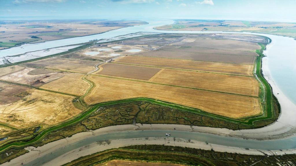 Wallasea Island