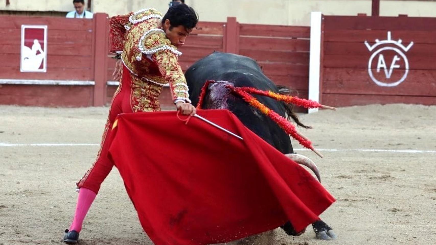 Novillada de la Junta en Valsaín