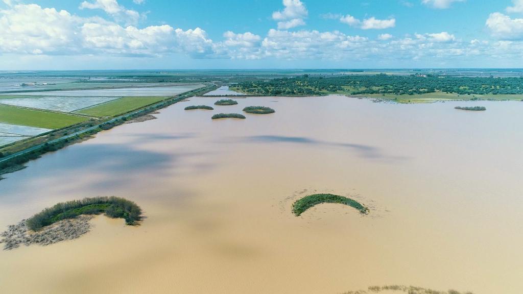 Proyecto Doñana