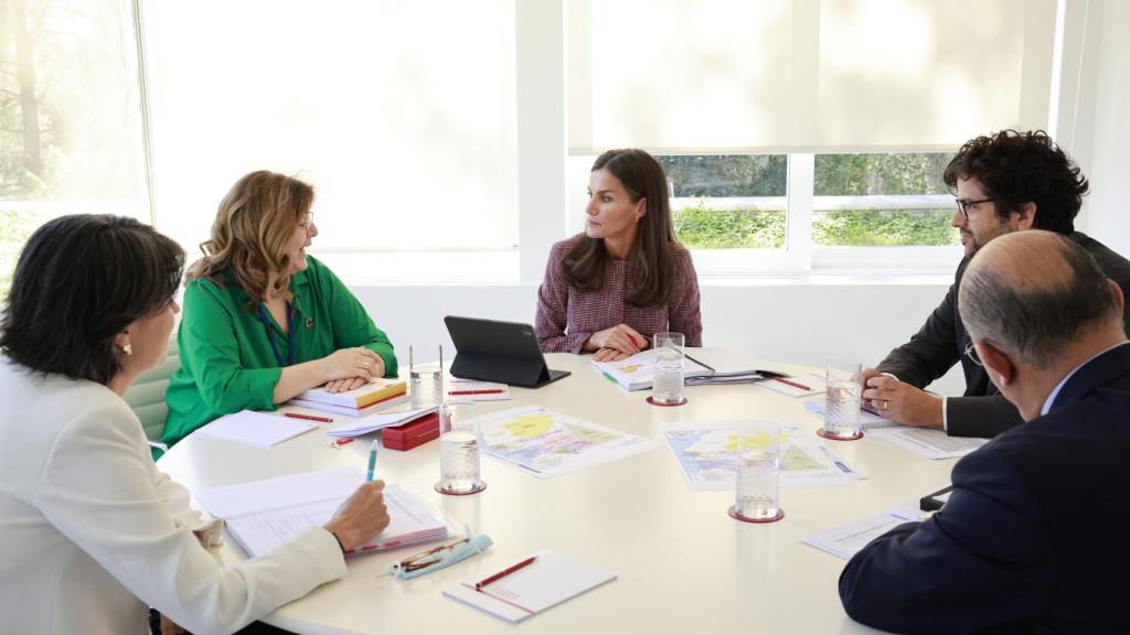 La reunión que la reina Letizia ha mantenido este miércoles en Zarzuela con los representantes de la cooperación española.