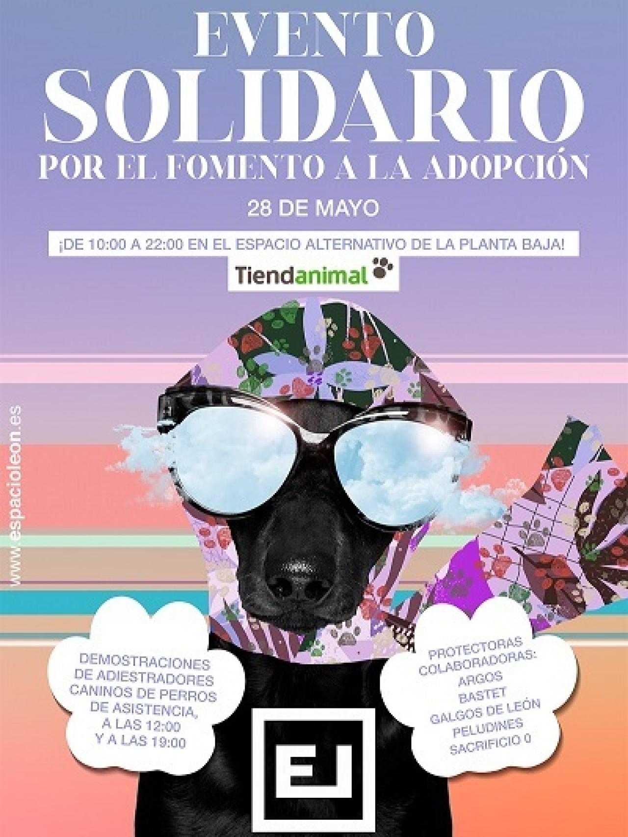 Evento de adopciones en Espacio León
