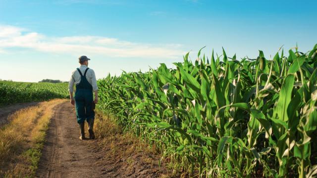El campo, una actividad ruinosa, o el mantra que debemos derribar