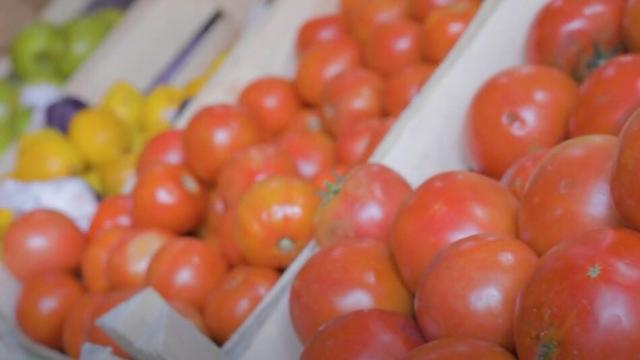 Iberdrola fomenta el emprendimiento: Tomates bajo un sol renovable