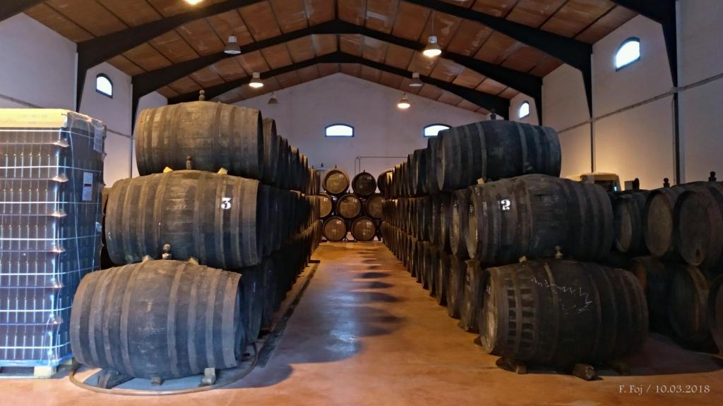 Interior de la bodega.