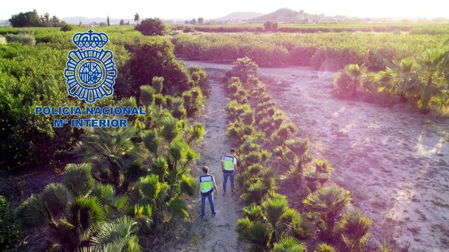 Foto aérea de la zona de cultivo.