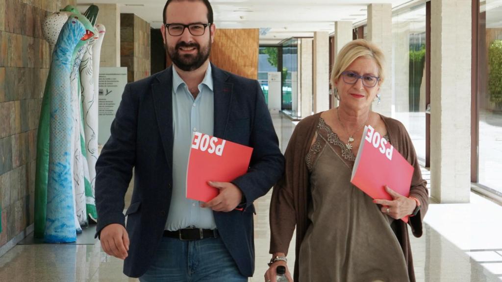 El secretario general del Grupo Socialista en las Cortes, Ángel Hernández, y la viceportavoz del Grupo Socialista en la Comisión de Familia, Isabel Gonzalo