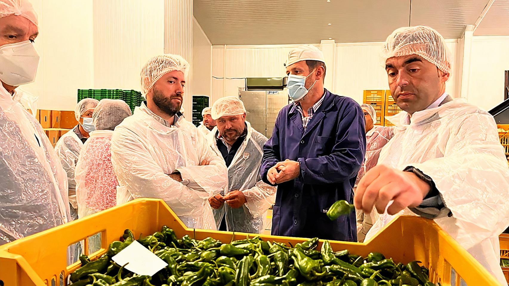 Visita a la cooperativa Horsal en Cambados (Pontevedra).