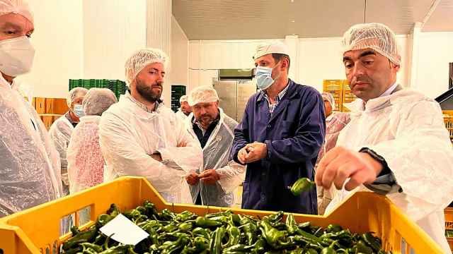 Visita a la cooperativa Horsal en Cambados (Pontevedra).