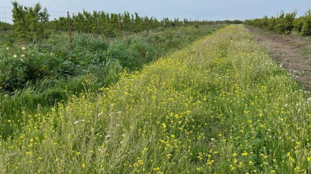 Lindero de una de las fincas de Iberhanse-Naturgreen