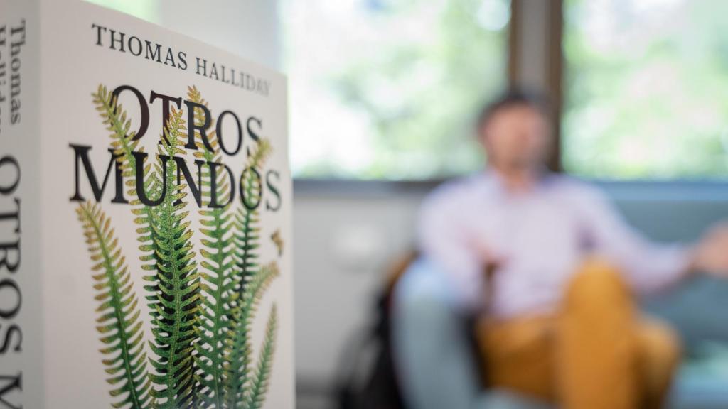 Detalle de 'Otros mundos'.
