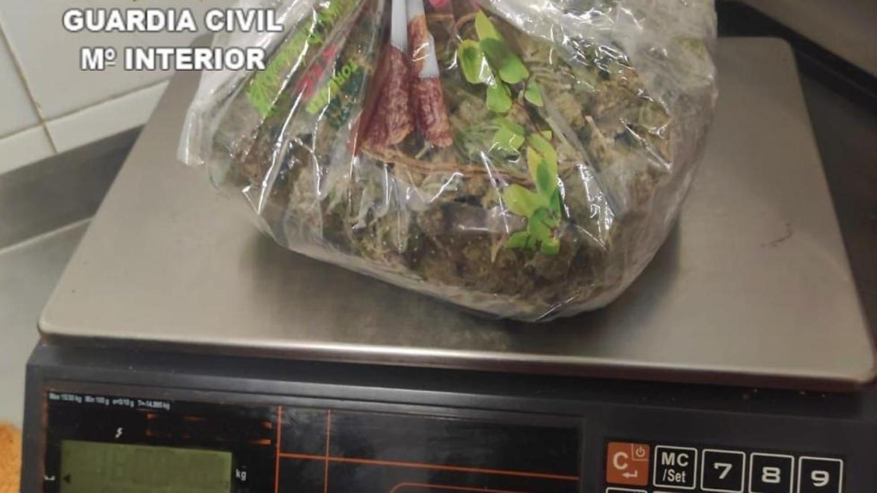 Imagen de la droga decomisada