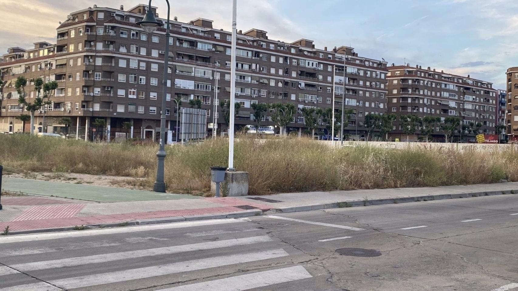 Piden al Ayuntamiento de Talavera que actúe contra la plaga de ratas y cucarachas