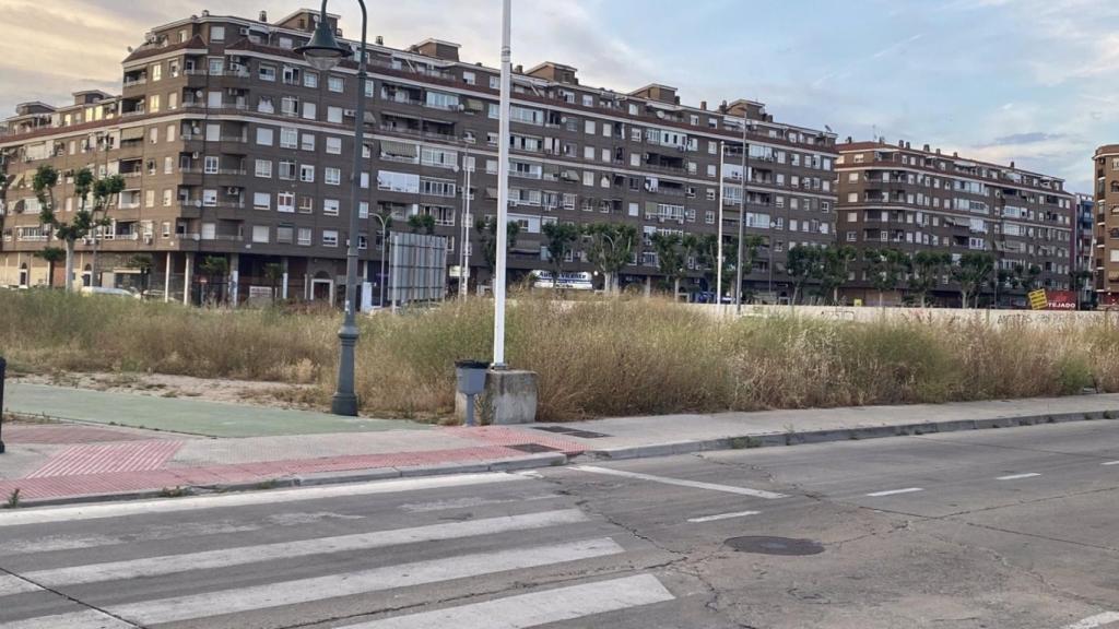 Piden al Ayuntamiento de Talavera que actúe contra la plaga de ratas y cucarachas