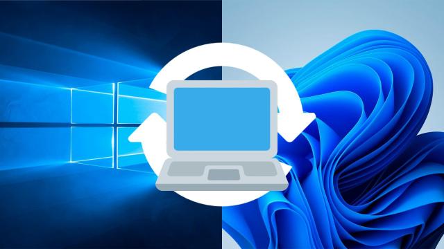 Fotomontaje con los fondos de pantalla de Windows 10 y 11.