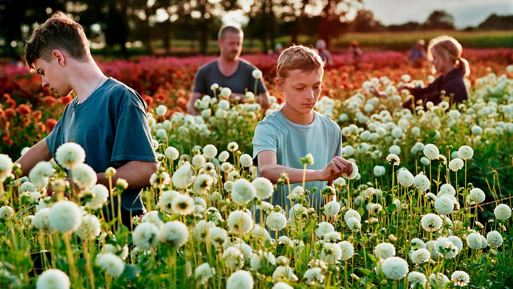 'Close', de Lukas Dhont. Foto: Kris Dewitte_Menuet