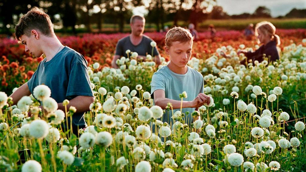 'Close', de Lukas Dhont. Foto: Kris Dewitte_Menuet