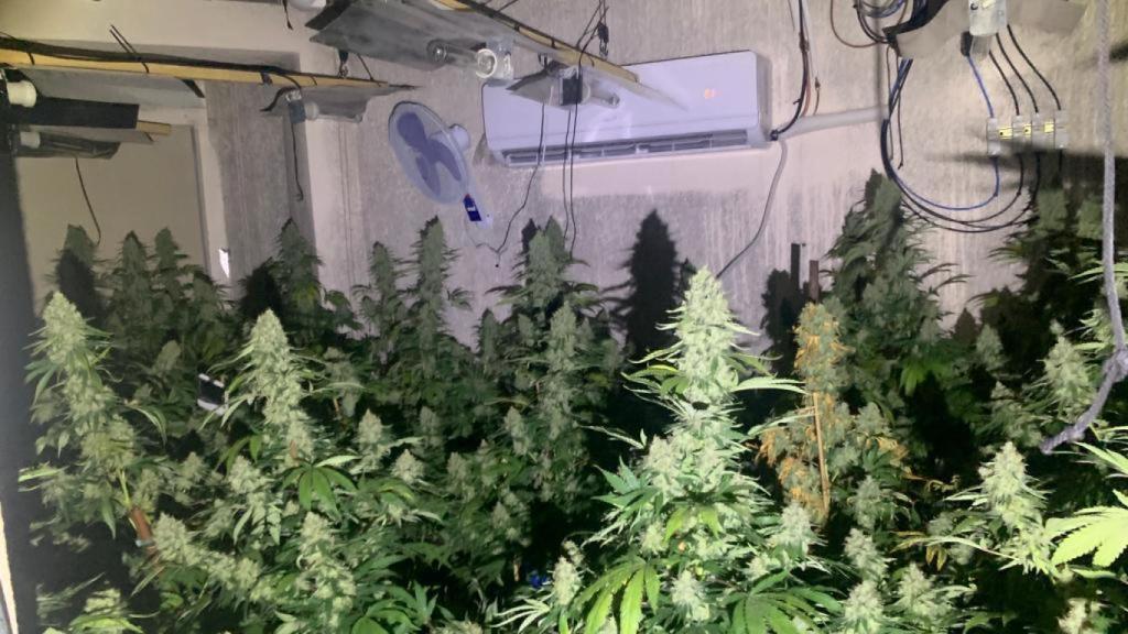 Una de las habitaciones de la casa de pedanía de La Garapacha donde se producía marihuana.