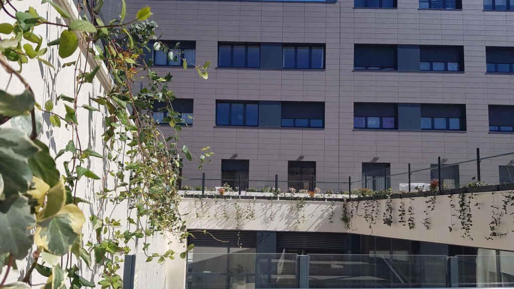 Satisfacción de más del 80% de los inquilinos del centro de convivencia ‘Victoria Adrados’