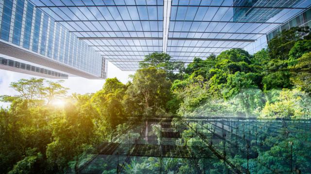 La sostenibilidad es real sólo si se aplica en toda la cadena de valor, también en la construcción