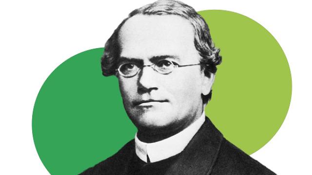El naturalista y fraile agustino Gregor Johann Mendel