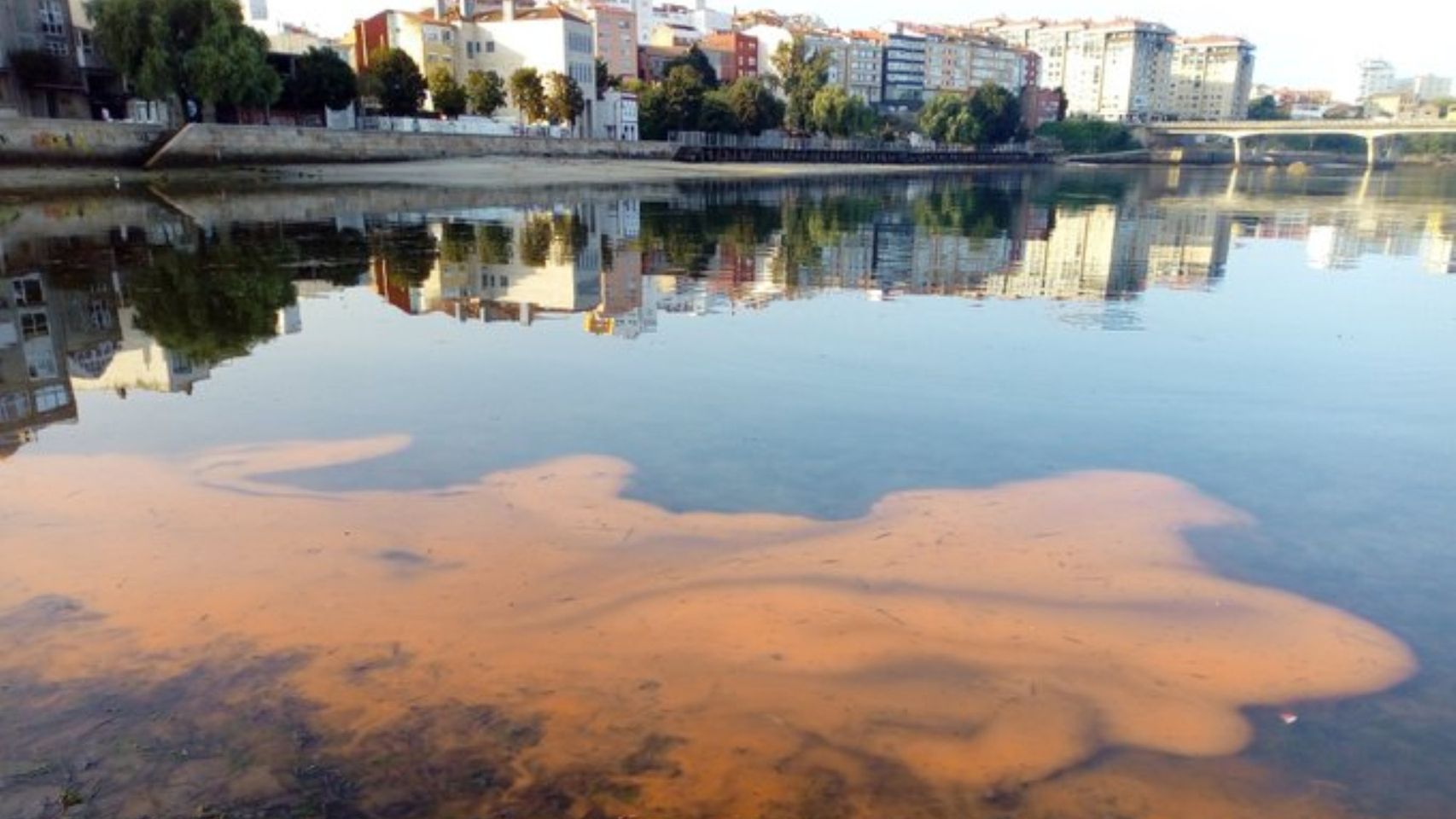 Imagen de una marea roja registrada en Galicia.