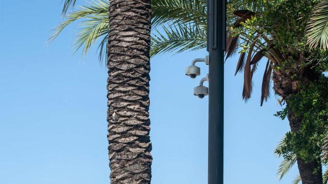 Una cámara con inteligencia artificial.