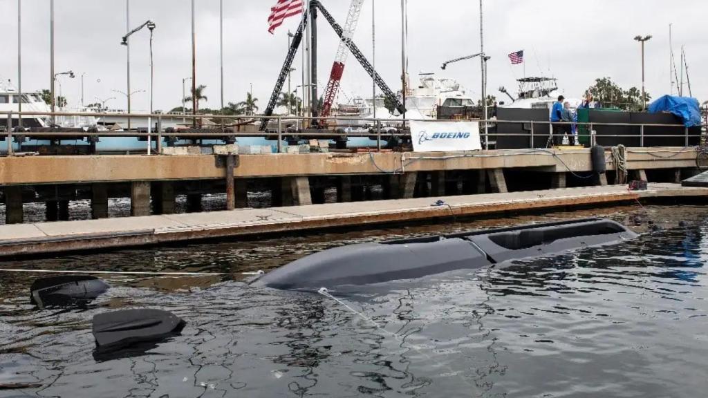 Orca en el muelle