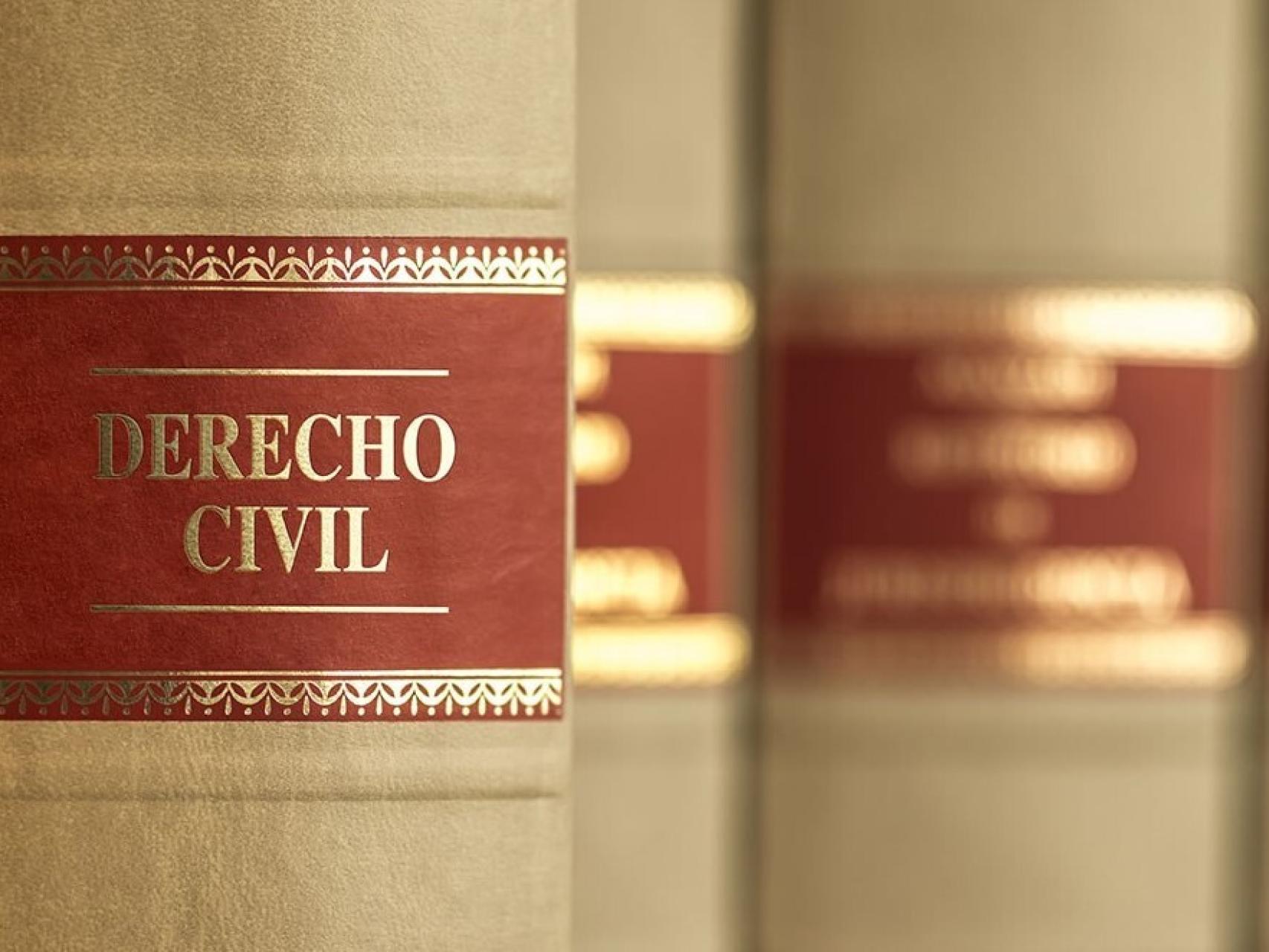 El nuevo sistema de apoyo a la discapacidad, a debate en la Universidad de León.