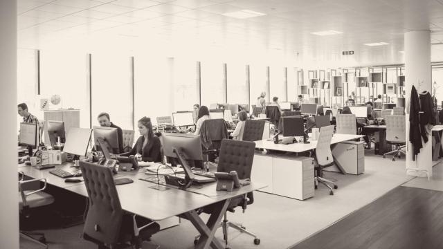 Trabajadores en una oficina.