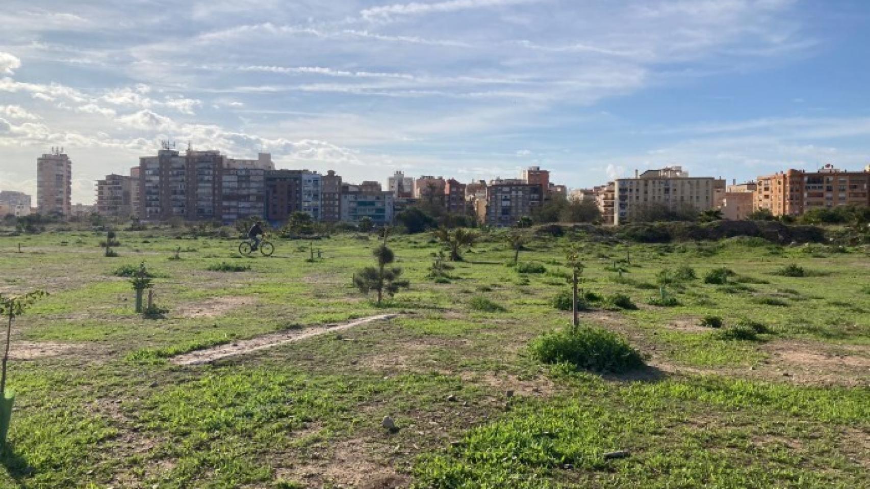 Antiguos terrenos de Repsol, en Málaga.