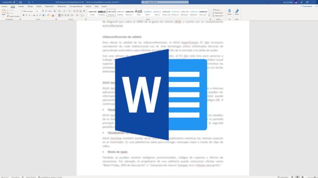 Microsoft Word