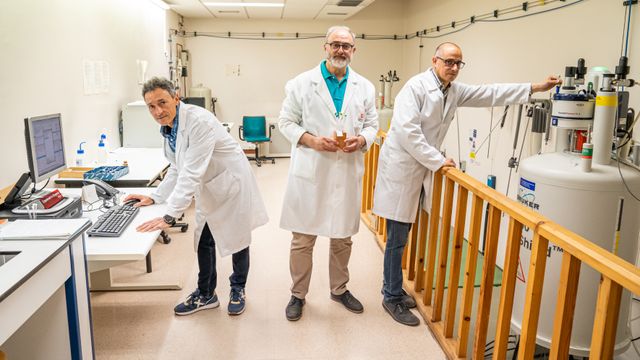 Los investigadores de la Universidad de la Rioja responsables del proyecto.