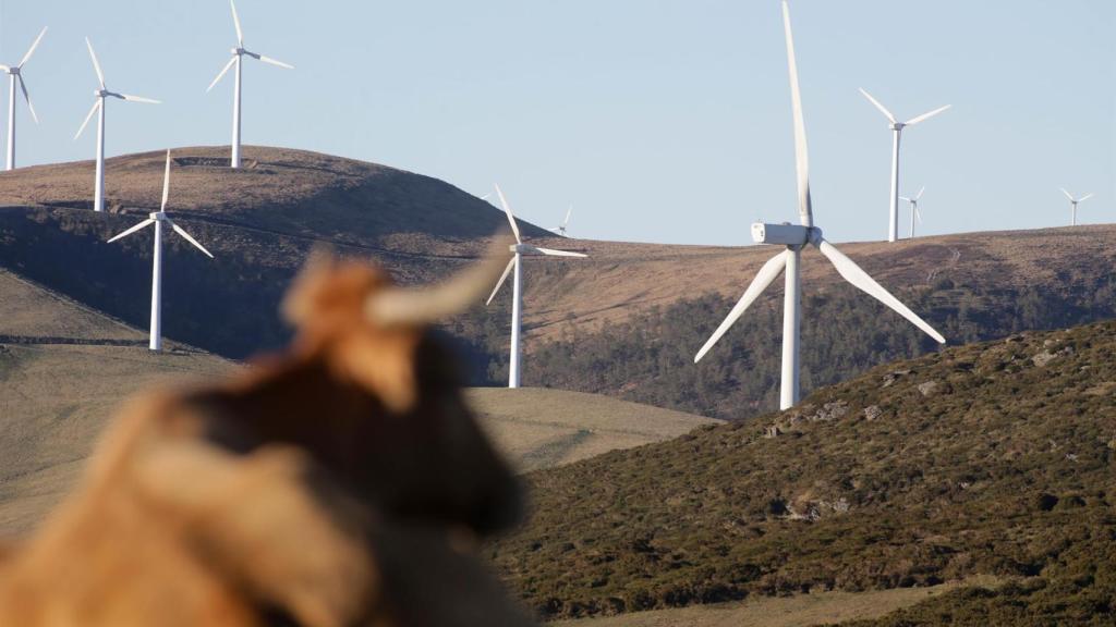 Un parque eólico en Galicia.