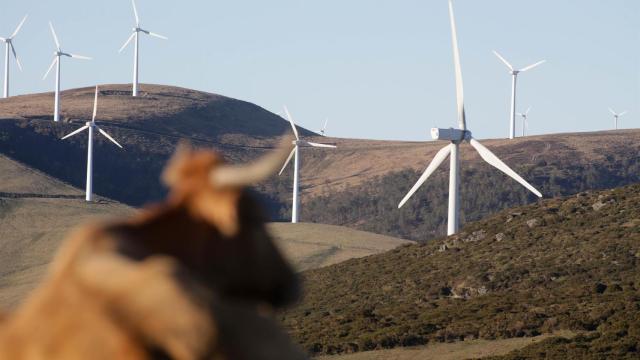 Un parque eólico en Galicia.