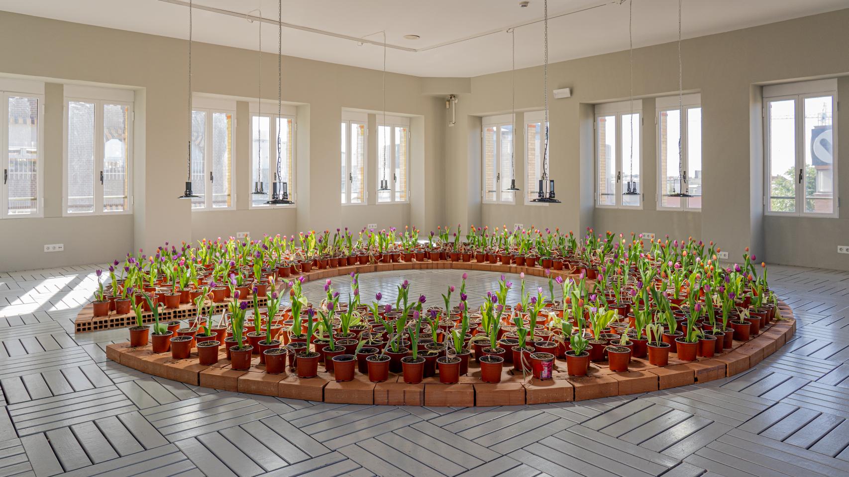 Michael Wang: 'El jardín del contagio', 2022. Foto: La Casa Encendida, Galerna, 2022